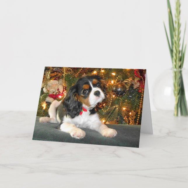 Cartão de Natal Cavalier King Charles Spaniel (Frente)