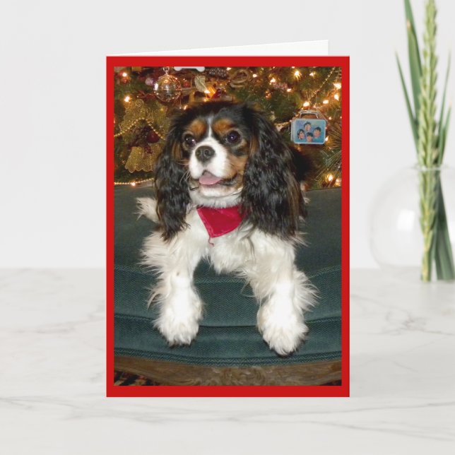 Cartão de Natal Cavalier King Charles Spaniel (Frente)