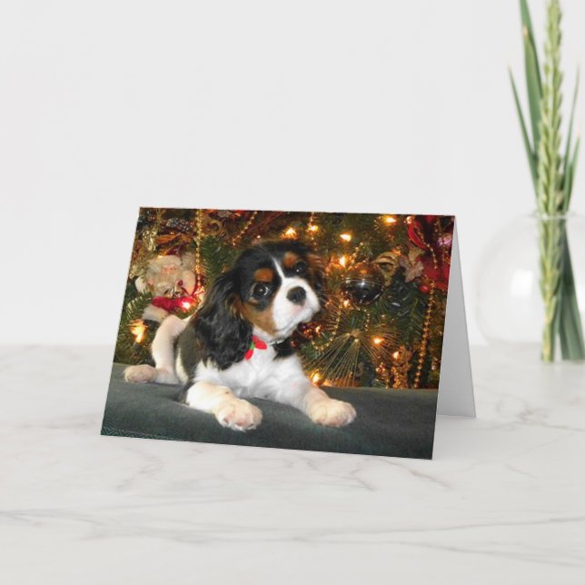 Cartão de Natal Cavalier King Charles Spaniel (Frente)