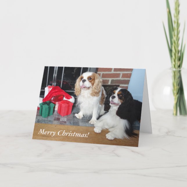 Cartão de Natal Cavalier King Charles Spaniel (Frente)
