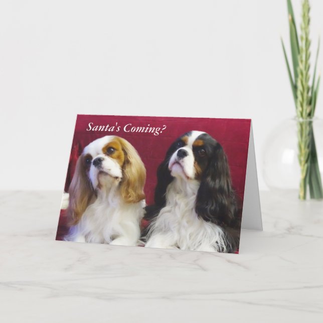 Cartão de Natal Cavalier King Charles Spaniels (Frente)