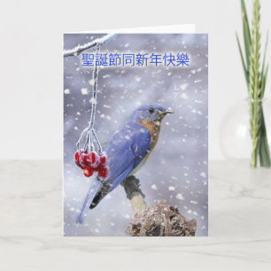 cartão de natal chinês - pássaro azul com bagas e