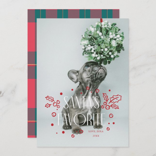 Cartão de Natal com Foto de Animal Favorito do Pap (Frente/Verso)