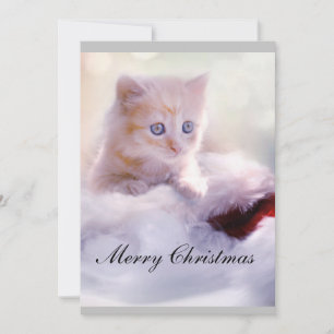 Cartão de Natal com gato.