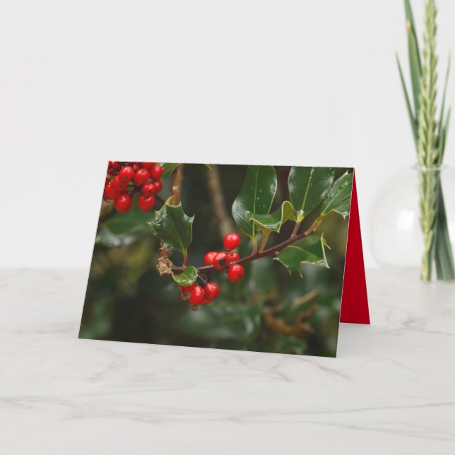 Cartão de Natal com holly (Frente)