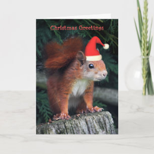 Cartão de Natal com papais noeis