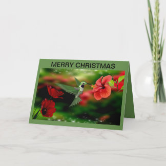 Cartão de Natal com um beija-flor