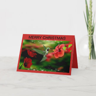 Cartão de Natal com um beija-flor