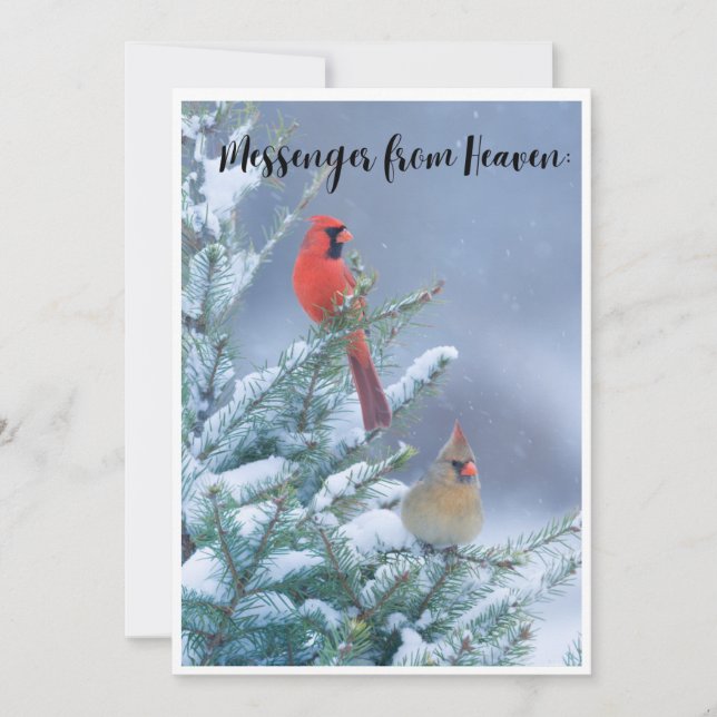 Cartão de Natal com um Cardinal Vermelho (Frente)