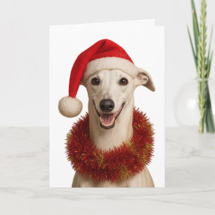 Cartão de Natal com Whippet de chapéu de Papai Noe