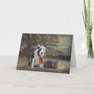 Cartão de Natal da Border Collie