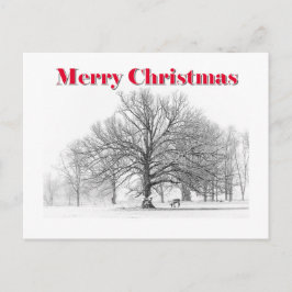 Cartão de Natal da Cena de Inverno (Cartão Postal)