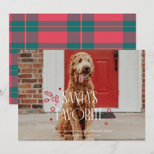 Cartão de Natal da Foto do Animalzinho Favorito do (Frente/Verso)