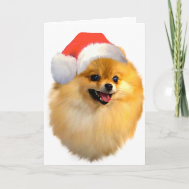 Cartão de Natal da Pomerânia (Frente)