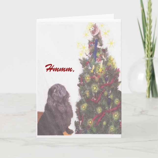 Cartão de Natal da Terra Nova (Frente)