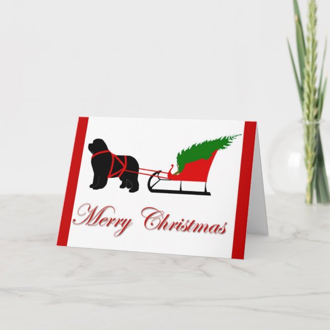 Cartão de Natal da Terra Nova (Frente)