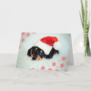 Cartão de Natal Dachshund