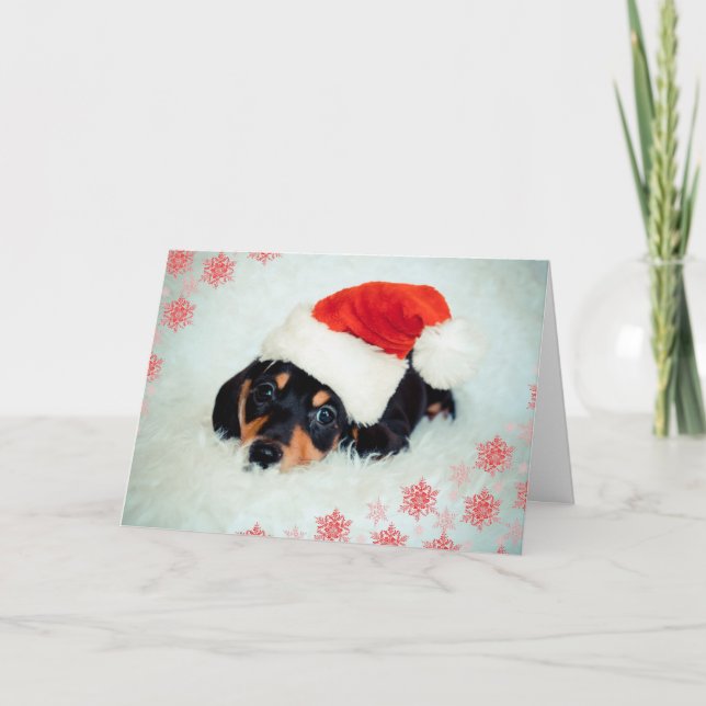 Cartão de Natal Dachshund (Frente)
