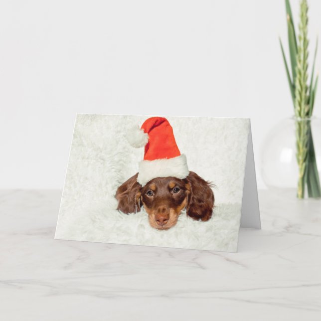 Cartão de Natal Dachshund (Frente)