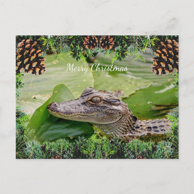 Cartão de Natal de Alligator (Frente)