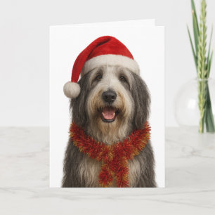 Cartão de Natal de Bearded Collie com chapéu de Pa