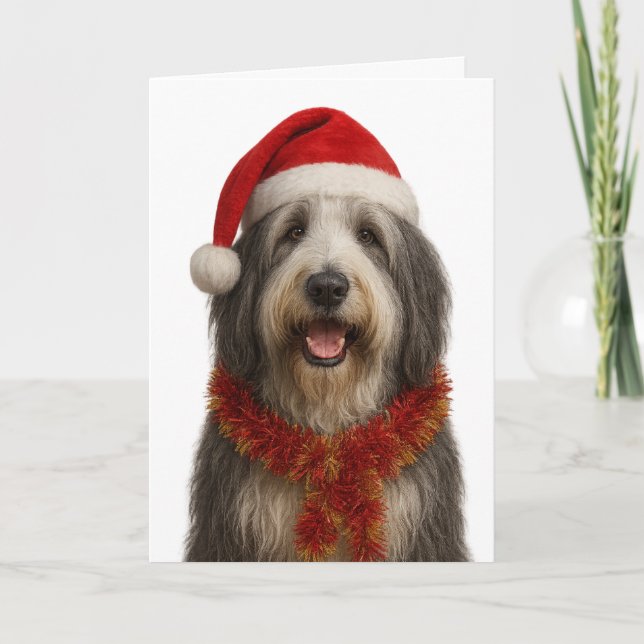 Cartão de Natal de Bearded Collie com chapéu de Pa (Frente)