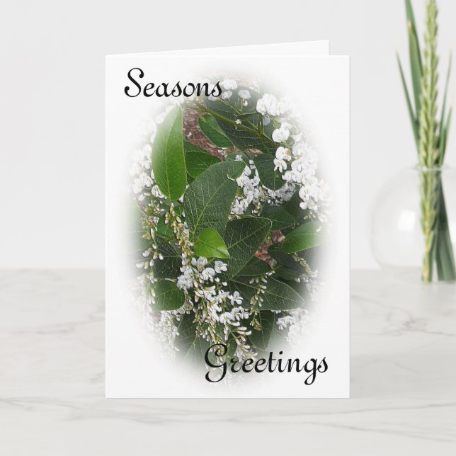 Cartão de Natal de Beringela Branca (Frente)