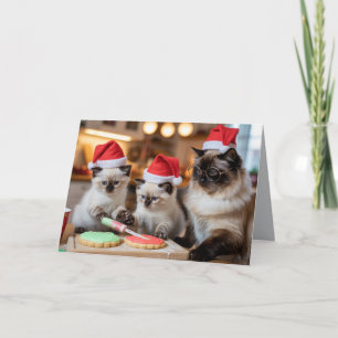 Cartão de Natal de Biscoito Siamês