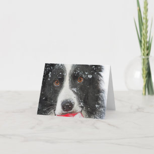 Cartão de Natal de border collie