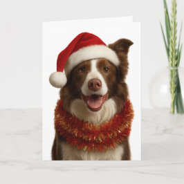 Cartão de Natal de Border Collie vermelho e branco