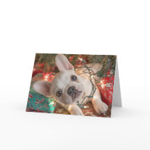 Cartão de Natal de Bulldog Francês – Cachorro entr