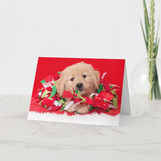 Cartão de Natal de Cachorrinho Golden Retriever (Frente)