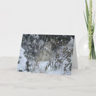 Cartão de Natal de Cachorro de Joia de Amor pela P