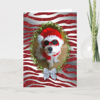 Cartão de Natal de Cachorro Engraçado Zebra Glitte