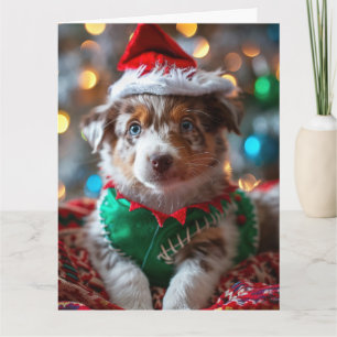 Cartão de Natal De Cão De Cão De Cães-De-Cães