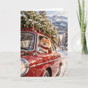 Cartão de Natal de Carro com Árvore de Natal Pomer