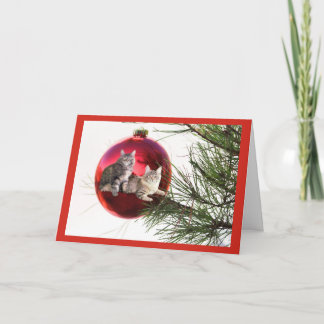 Cartão de Natal de Cat