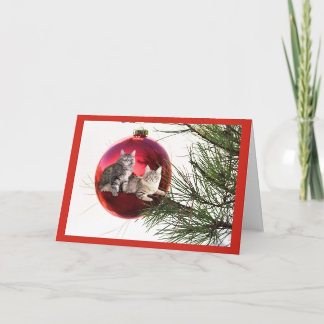 Cartão de Natal de Cat (Frente)
