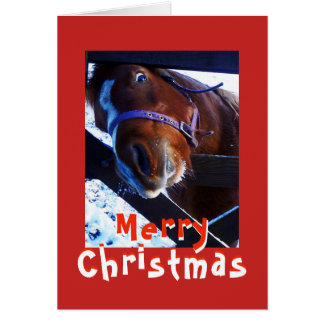 Cartão de Natal de cavalo curioso