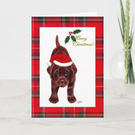 Cartão de Natal de Chocolate Labrador