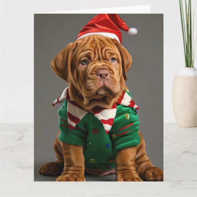 Cartão de Natal de Dogue de Bordeaux Elf Puppy (Frente)