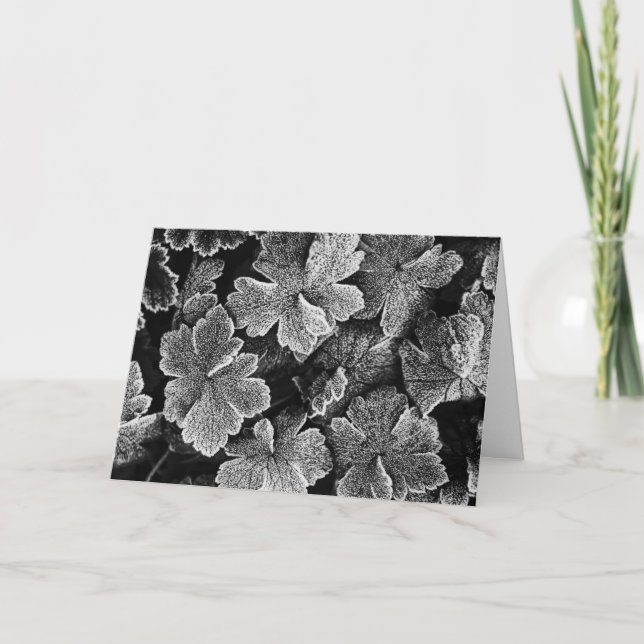 Cartão de Natal de Folhas Congeladas (Frente)