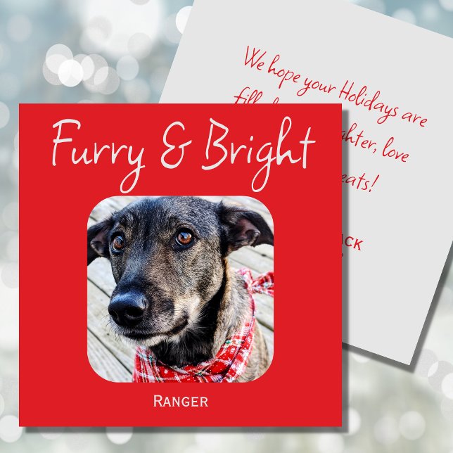 Cartão de Natal de Foto Pet Minimimalístico (Criador carregado)