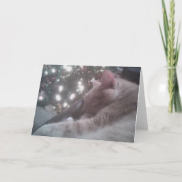 Cartão de Natal de gatinho