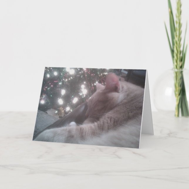 Cartão de Natal de gatinho (Frente)