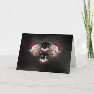Cartão de Natal de Gato Catsody Boêmia