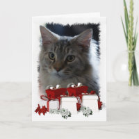 Cartão de Natal De Gato Com Gato De Maine Coon Kit