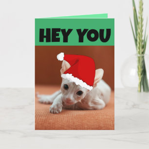  CARTÃO DE NATAL DE GATO SEM PELO SPHYNX