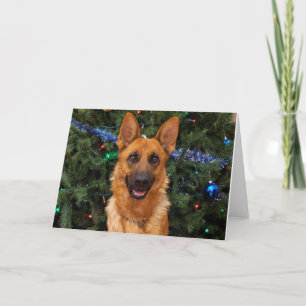 Cartão de Natal de german shepherd