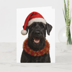 Cartão de Natal de Giant Schnauzer com chapéu de P